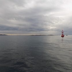 フィッシングボート空風(そらかぜ) 釣果