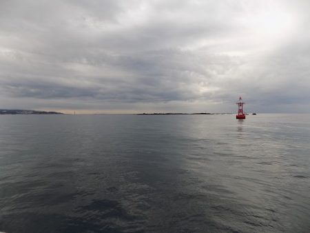 フィッシングボート空風(そらかぜ) 釣果