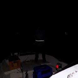 フィッシングボート空風(そらかぜ) 釣果