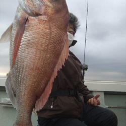 飛燕さくら丸 釣果
