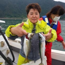 フィッシング太陽 釣果