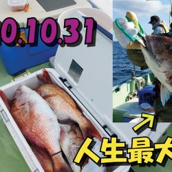 釣り船一番星 釣果
