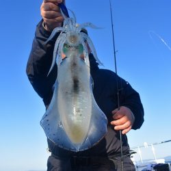 Fisherman Dreams DI 釣果