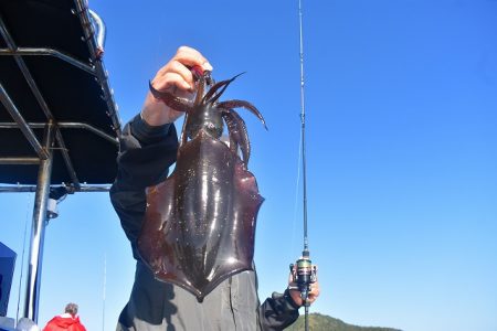 Fisherman Dreams DI 釣果