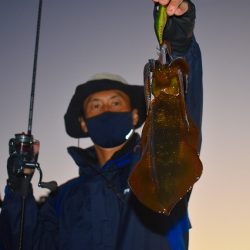 Fisherman Dreams DI 釣果