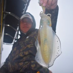 Fisherman Dreams DI 釣果