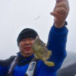 Fisherman Dreams DI 釣果