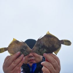 Fisherman Dreams DI 釣果