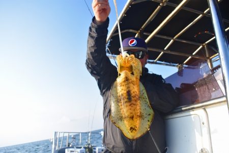 Fisherman Dreams DI 釣果