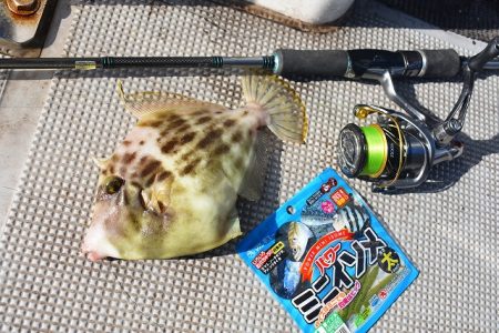 Fisherman Dreams DI 釣果