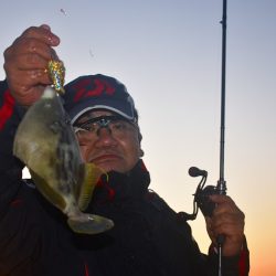 Fisherman Dreams DI 釣果