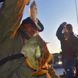 Fisherman Dreams DI 釣果