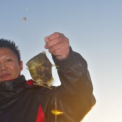 Fisherman Dreams DI 釣果