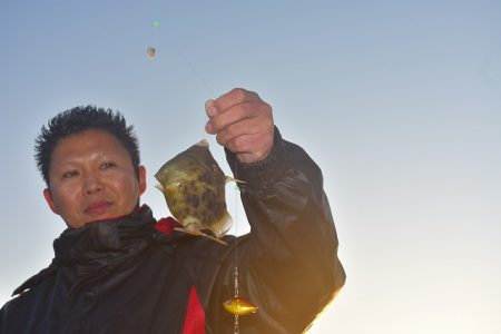 Fisherman Dreams DI 釣果