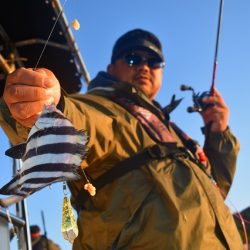 Fisherman Dreams DI 釣果