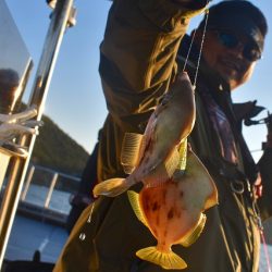 Fisherman Dreams DI 釣果