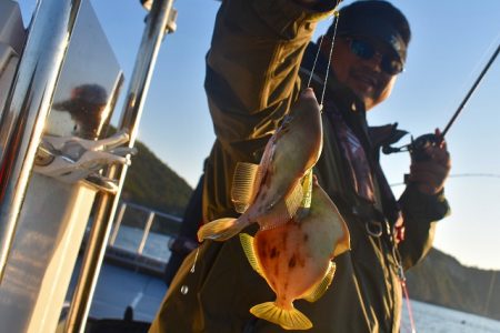 Fisherman Dreams DI 釣果