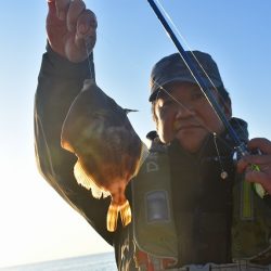 Fisherman Dreams DI 釣果