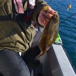 Fisherman Dreams DI 釣果