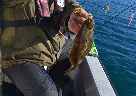 Fisherman Dreams DI 釣果