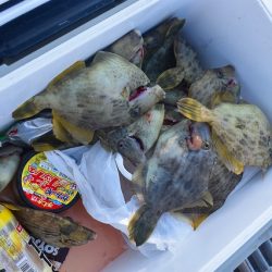 Fisherman Dreams DI 釣果