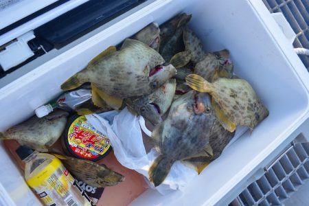 Fisherman Dreams DI 釣果