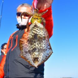 Fisherman Dreams DI 釣果