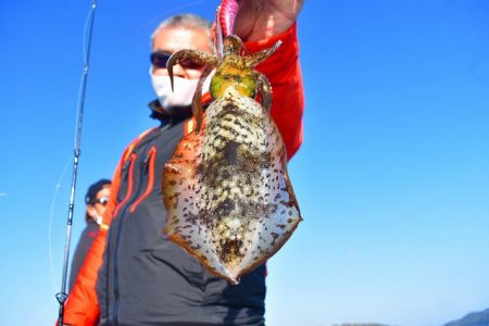 Fisherman Dreams DI 釣…