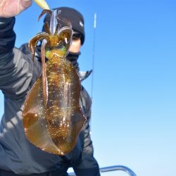 Fisherman Dreams DI 釣果