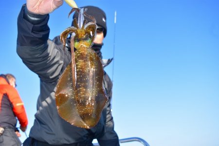 Fisherman Dreams DI 釣果