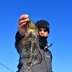 Fisherman Dreams DI 釣果