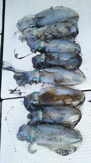 釣り舟　海竜 釣果