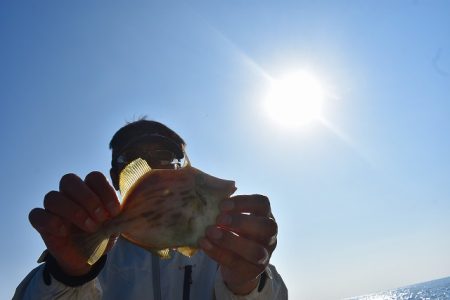 Fisherman Dreams DI 釣果