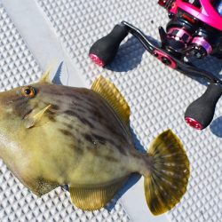 Fisherman Dreams DI 釣果