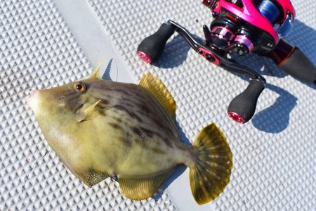 Fisherman Dreams DI 釣果