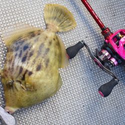 Fisherman Dreams DI 釣果