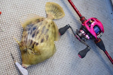 Fisherman Dreams DI 釣果