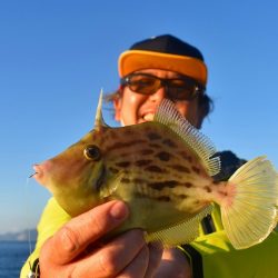 Fisherman Dreams DI 釣果