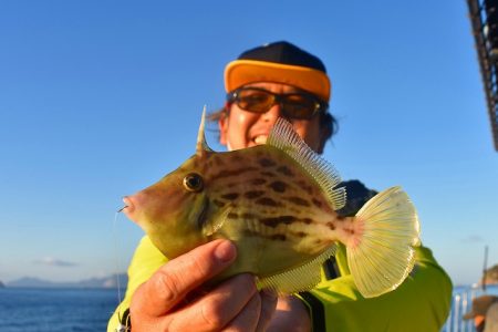 Fisherman Dreams DI 釣…