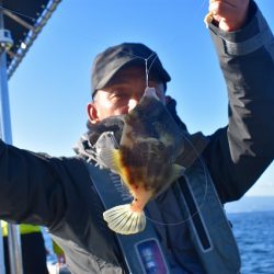 Fisherman Dreams DI 釣果