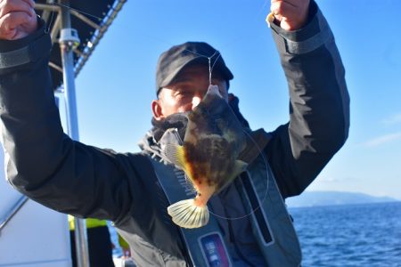 Fisherman Dreams DI 釣果