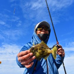 Fisherman Dreams DI 釣果