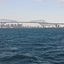 深川　吉野屋 釣果