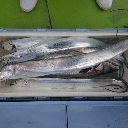 深川 吉野屋 釣果