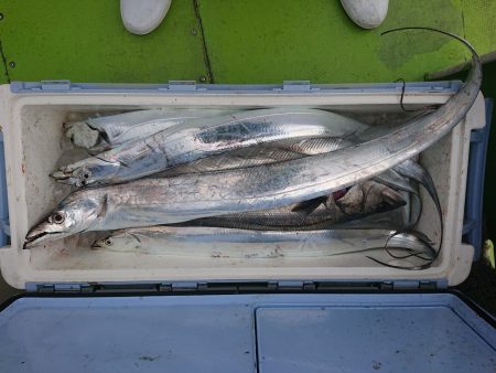 深川 吉野屋 釣果