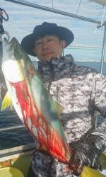 恵比寿丸(兵庫) 釣果