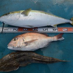 アジアマリンサービス 釣果