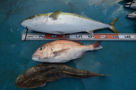 アジアマリンサービス 釣果