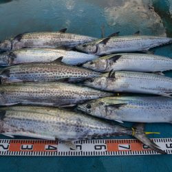 アジアマリンサービス 釣果