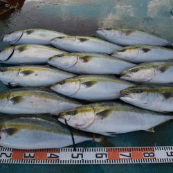 アジアマリンサービス 釣果